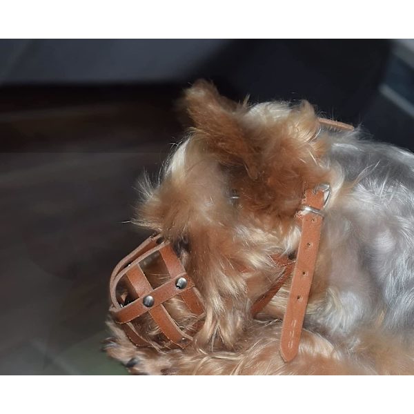 Let Læder Hundekobbel Til Chihuahua Yorkshire Terrier Mini Pitcher & Andre Små Hunde (Naturligt Læder, 00) Leather