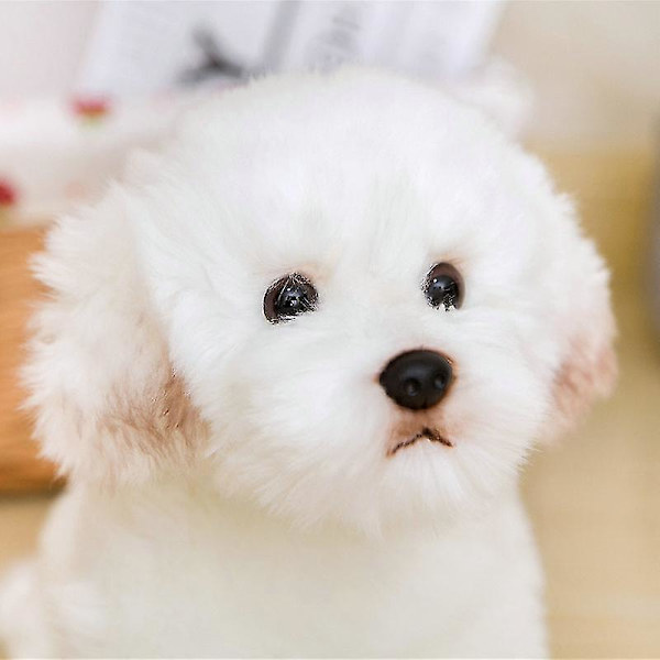 Plush Leksakshund, Bichon