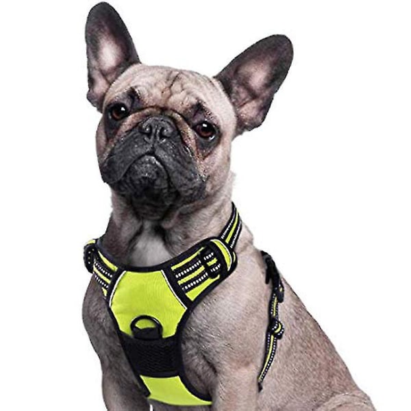 No-pull hundesele Polstret, justerbar kjæledyrvestsele for store hunder som trener eller går Green 43-56CM