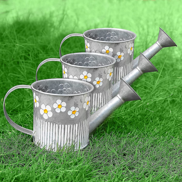 Dekorativ vattenkanna av silvermetall (set med 3) - 550 ml vintage  vattenkanna i galvaniserad metall med handtag och pip - för växt  inomhus/utomhus a9ad | Fyndiq