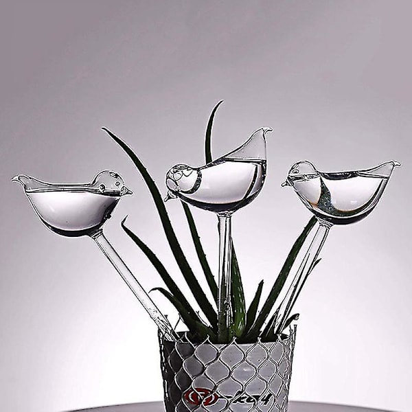 Plantevandere Selvvandede Kugler, Fugleform Håndblæst Klar Aqua Pærer Clear 5 Pcs