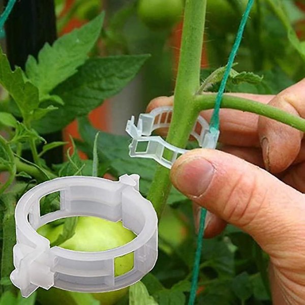 100 stk Plantestøtte Haveclips Tomatclips Supports Forbinder planter Bure Plante Vin Vegetabilsk Fastgørelsesklips