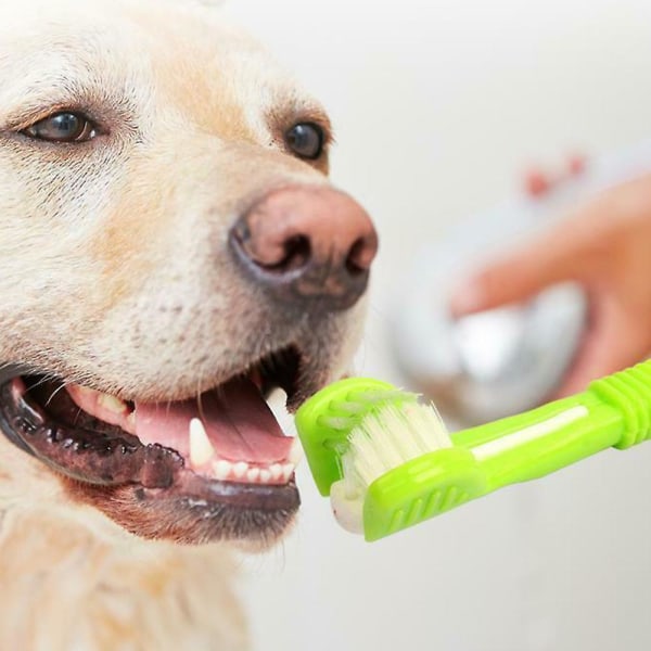 Tresidig hundetannbørste Reduser tannstein Kjæledyrkattetennrengjøring Munnlig tannpleie Red Blue