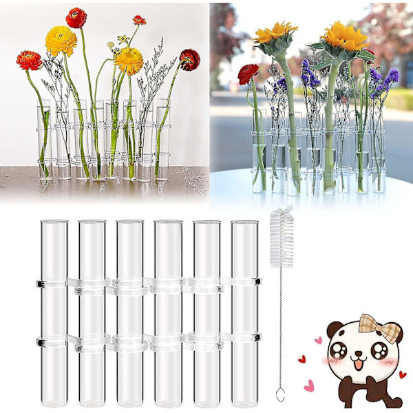Ny gångjärnsblomvas, gångjärnsblomvas provrör, hydroponiskt rör terrarium vattenväxt blomkruka med borste 6pcs S