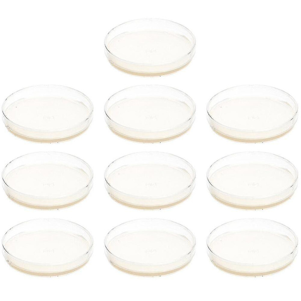 10 stk. Forhældte Agar plader Petriskåle med Agar Science Experiment Supplies