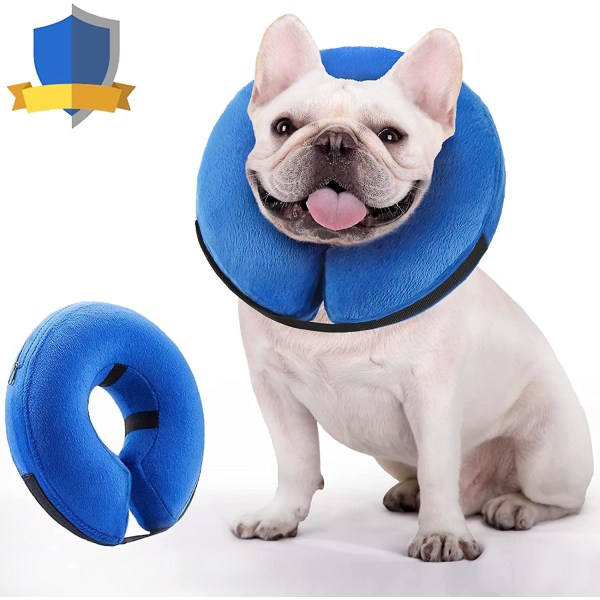 Koiran käpyjä leikkauksen jälkeen, suojaava puhallettava koiranpanta lemmikkieläinten palautuspanta Blue M