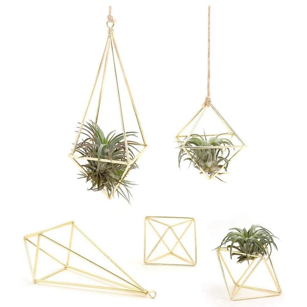 Växthållare 5-pack Metalldekor Modern geometrisk hängare Hängande växter Planteringskärl Bordsskiva Display R