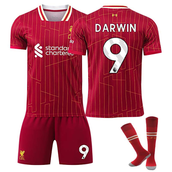 2425 Liverpool hjemmebanetrøje DARWIN Fodboldtrøje med sokker S(165-170cm)