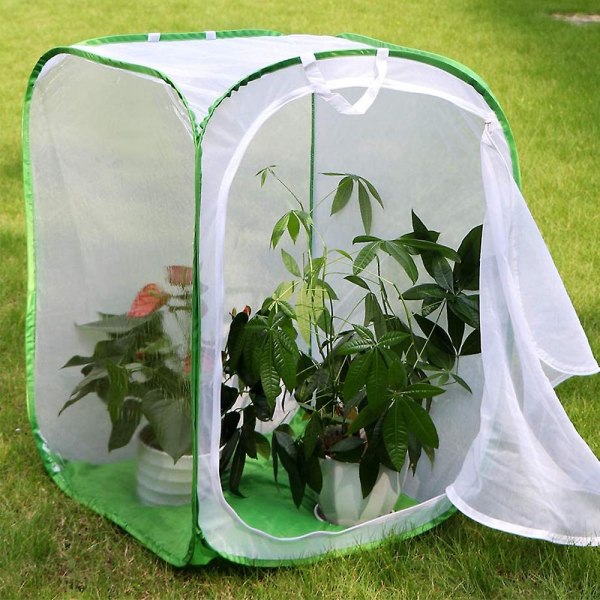 Butterfly Habitat Hopfällbar Bug Catcher Net Mesh Insekter Växtbur Green Edge White Net 40*60cm