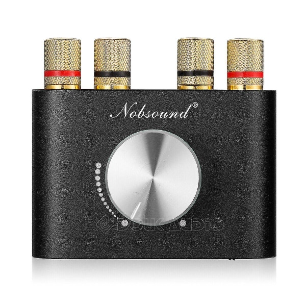 Bluetooth 5.0 Stereo Lydforsterker Mottaker 2 Kanal Klasse D Mini Hi-fi Amp hg