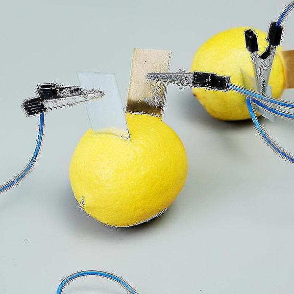 Orange Potet Sitron Batteri Fysikk Undervisning Eksperiment Frukt Batteri Led Science Kit