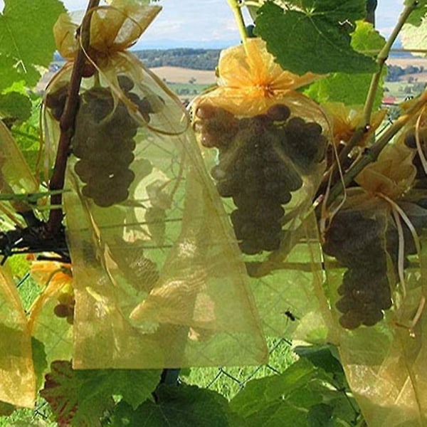 Bunch Protection Bag Grape Fruit Organza Bag med dragsko ger totalt skydd Yellow(100PCS) 20x30CM