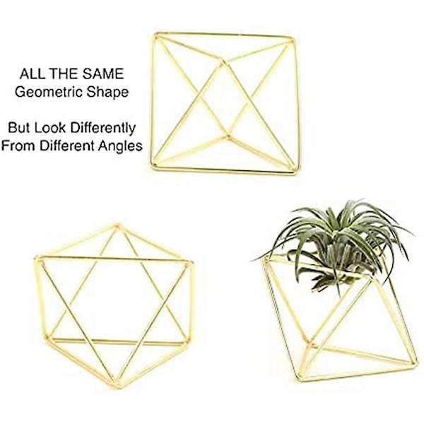 Växthållare 5-pack Metalldekor Modern geometrisk hängare Hängande växter Planteringskärl Bordsskiva Display R