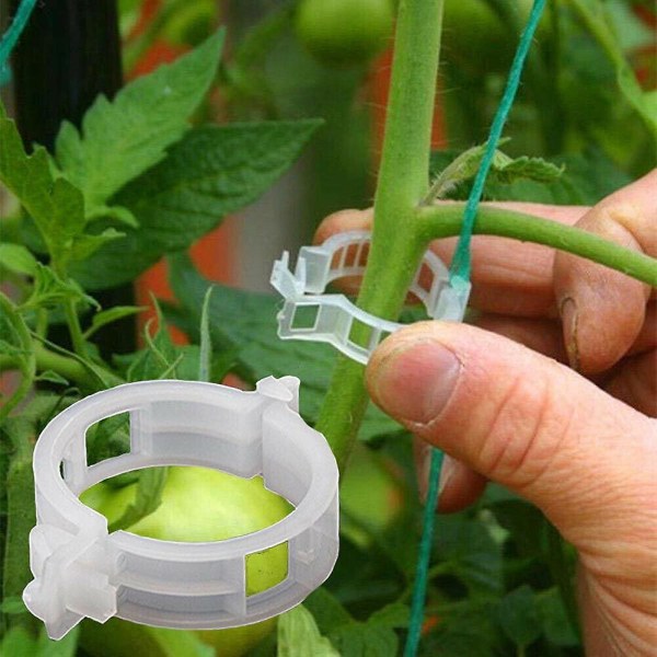 100 stk Plast hage plantestøtte klips, tomat klips, plante bånd, trellis klips, for tomat agurk blomster squash vintreet, 1 indre diameter