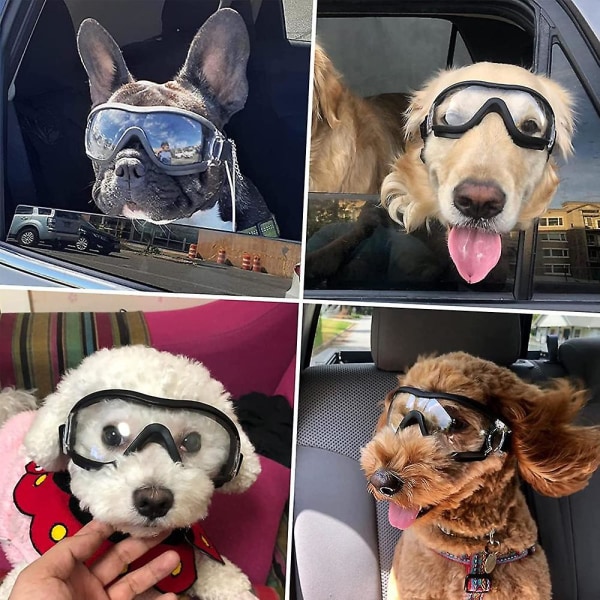Hundglasögon Liten ras, UV-skydd Hundsolglasögon för medelstora hundglasögon för medelstor hund