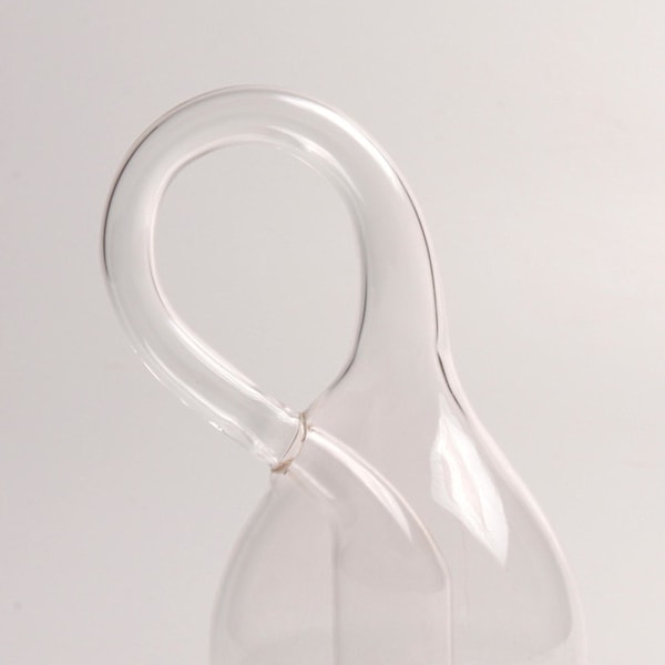 Glasvas Klein flaska Fyrdimensionell rymdflaska för bröllopspresent S 11.8X6.3cm