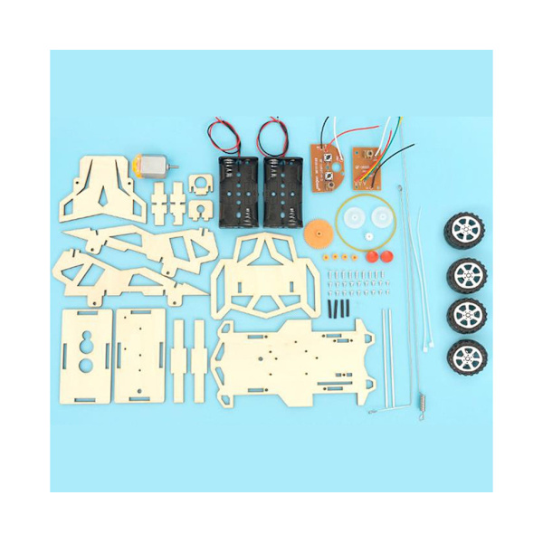 DIY Wireless RC Racing Car Science Kit
