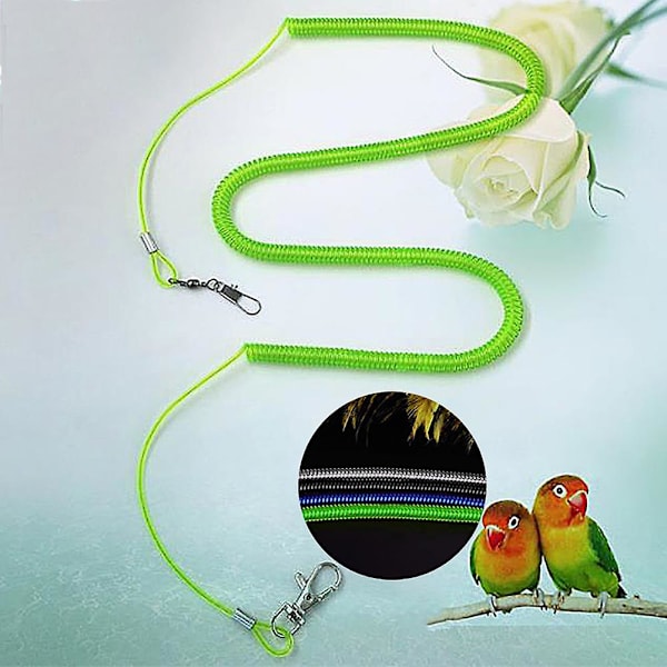 Naievear papukaija lintu talutushihna lentävä harjoitus köysihihnat papukaijakukat kottarainen budgie Random Color 2M