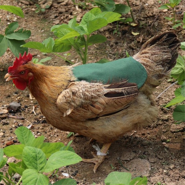 2023 Kyllingsal for høner Kyllingforkle med elastisk stropp Kyllingjakkestropp Fjærkrebeskytter Hønefjærfikser Stilig utstillingskostyme Juster Tig