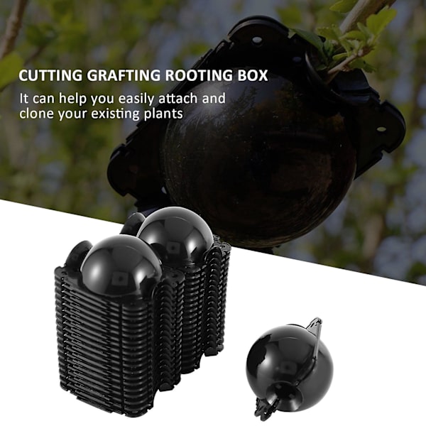 20st Återanvändbar växtrotningsutrustning Kit-högtrycksuppfödningsbollbox(ar) avelsutrustning Black