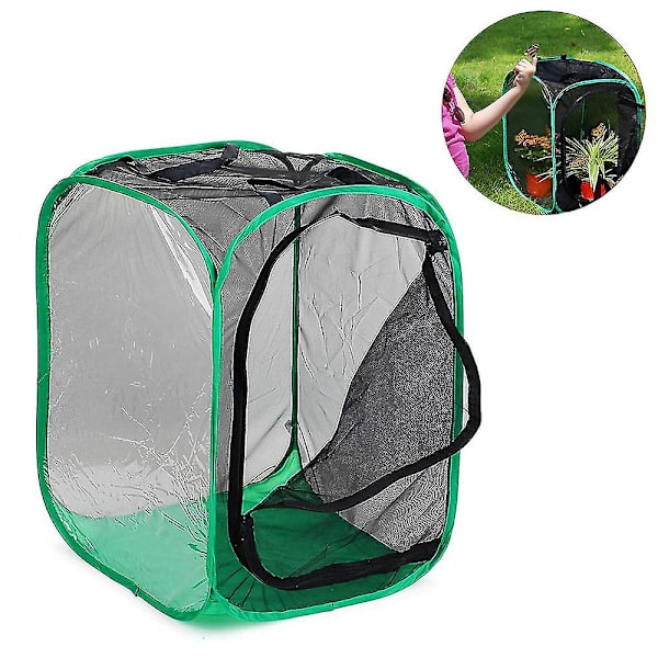 Høye store sommerfugler sammenleggbare terrarium popup-lenker, insekt- og sommerfuglnett for å heve innsatser Black mesh