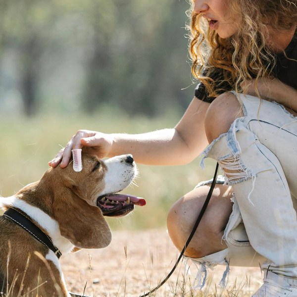 4st hundtandborste fingerborste för sällskapsdjur och hundtänder