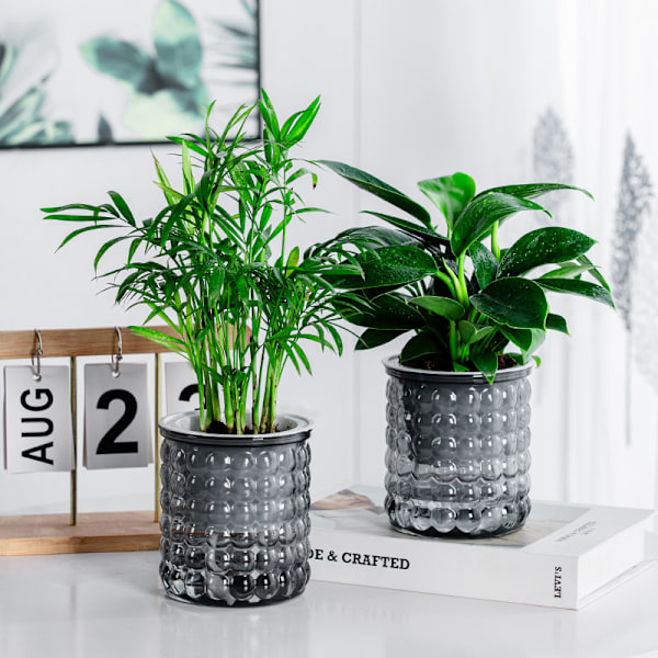 Mini Självbevattnande Blomkruka Plastkrukor Självbevattnande Kruka Gray