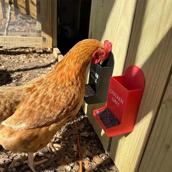 Hängande Foderautomat för Kycklingar, Ostronskal och Grus A8