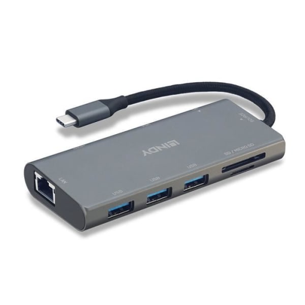 Lindy Multiport USB 3.1 Typ C Dockningsstation - grå - TU