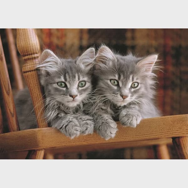 Katt pussel 500 bitar Compact Clementoni