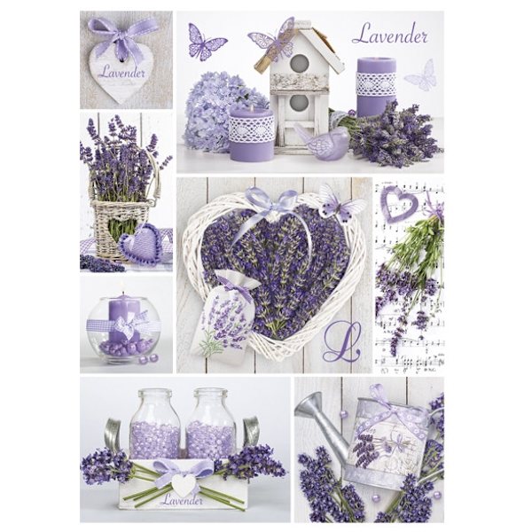 Colour Mosaic Lavendel A4 elastisk mapp