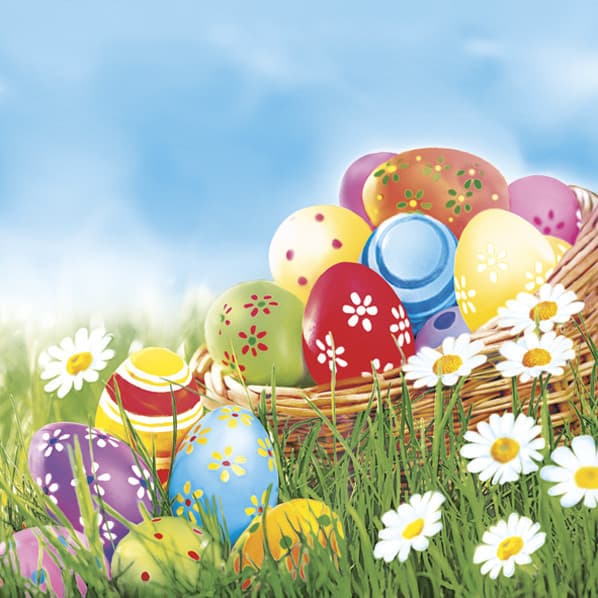 Easter servetter Eggs and Daisies 20-pack 33x33 cm