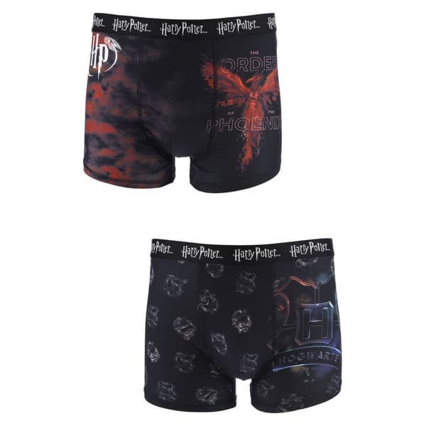 Harry Potter herrboxers 2-pack L