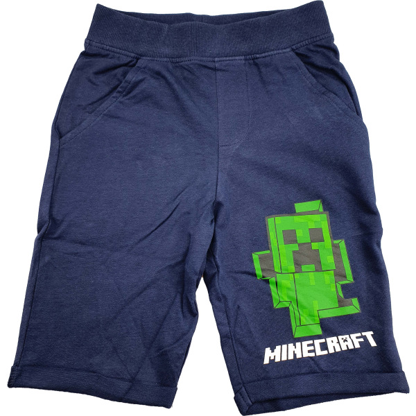 Minecraft Shorts 134