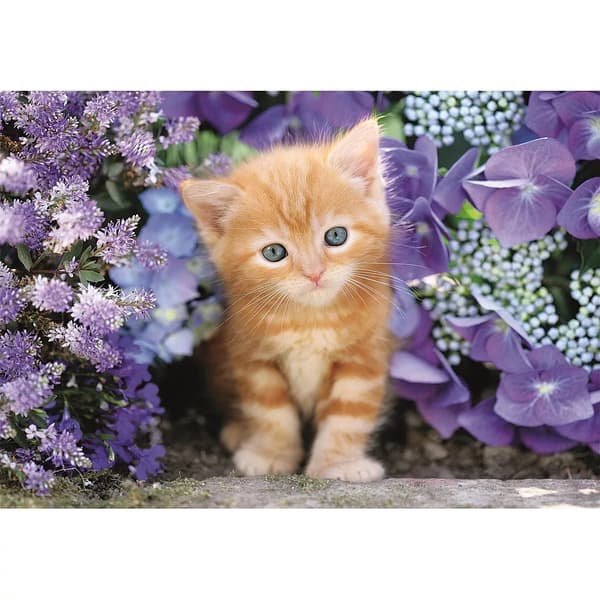 Clementoni Katt Pussel 500 bitar – Compact