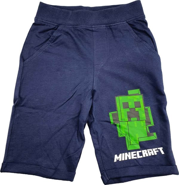 Minecraft Shorts 152