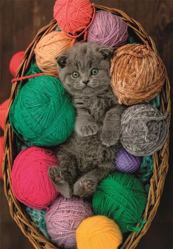 Katt Fluffy 500-bitars kompakt pussel Clementoni