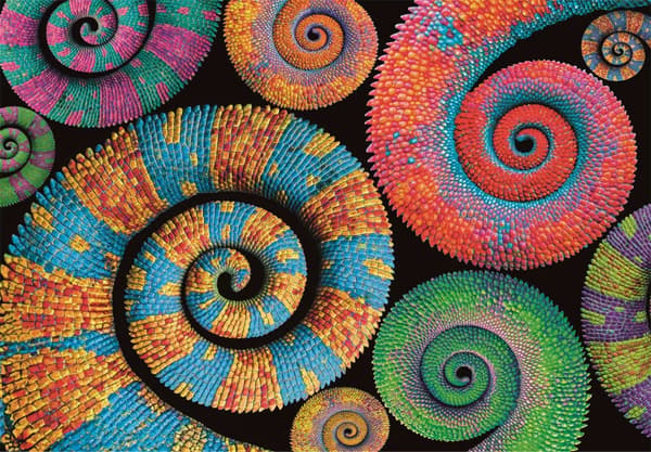 Colour Curly Tails 500 bitars kompakt pussel Clementoni