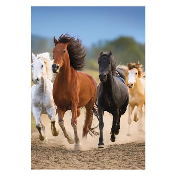 Horses Freedom A4 elastisk mapp