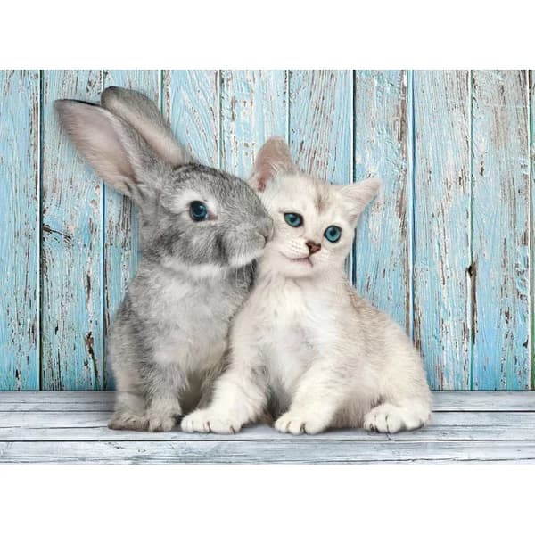 Katt & Kanin 500-bitars pussel Clementoni