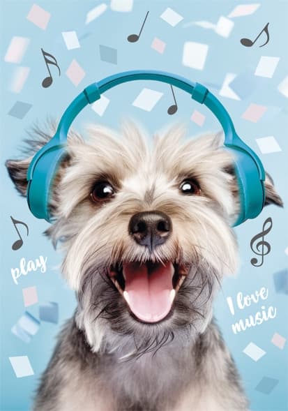 Dog A4-mapp med elastiskt band