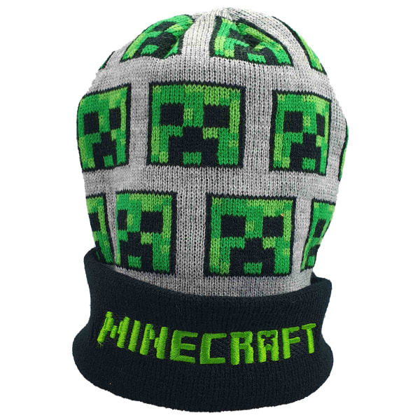 Minecraft Mössa 56