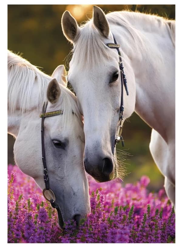 Horses Whispers A4-dokumentmapp med resår