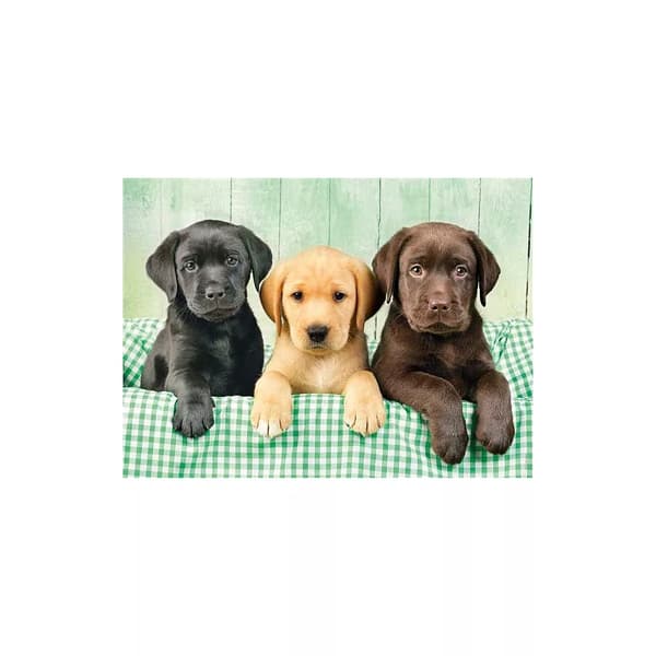 Hundar Labrador 1000 bitars pussel Clementoni