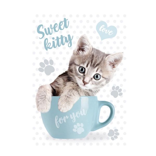 Cat Sweet Kitty A4 elastisk mapp