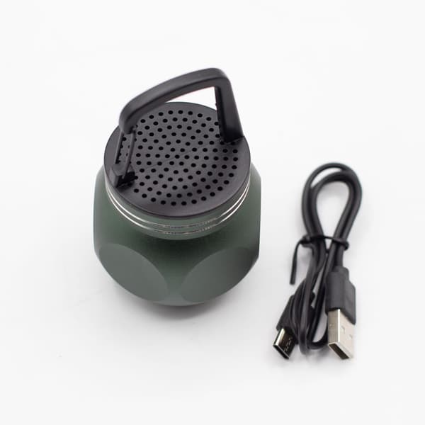 Grön Mini-högtalare med Campingkrok