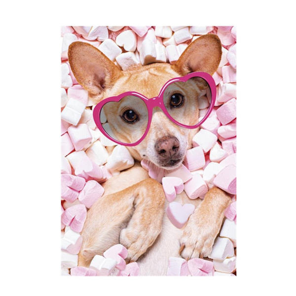 Dog A4 elastisk mapp