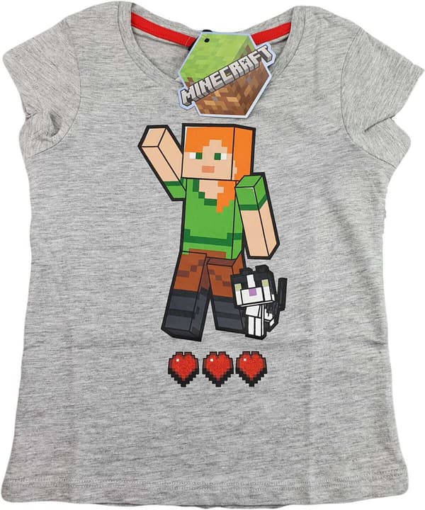 Minecraft Linne 110