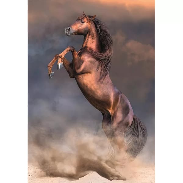 Häst Wild Stallion 500 bitars kompakt pussel Clementoni