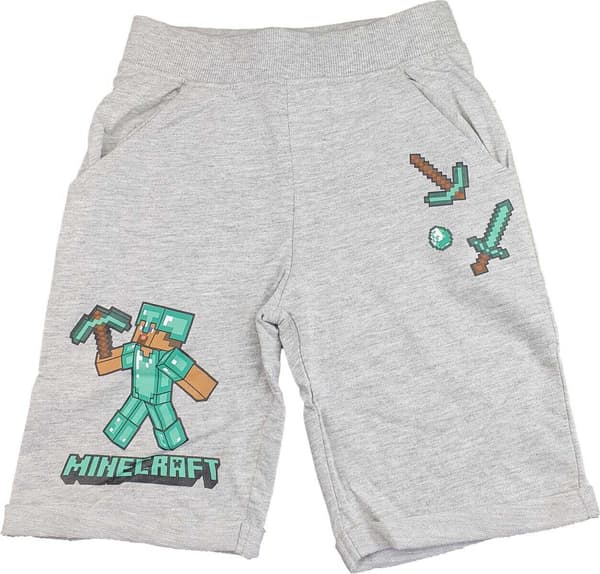 Minecraft Shorts 116